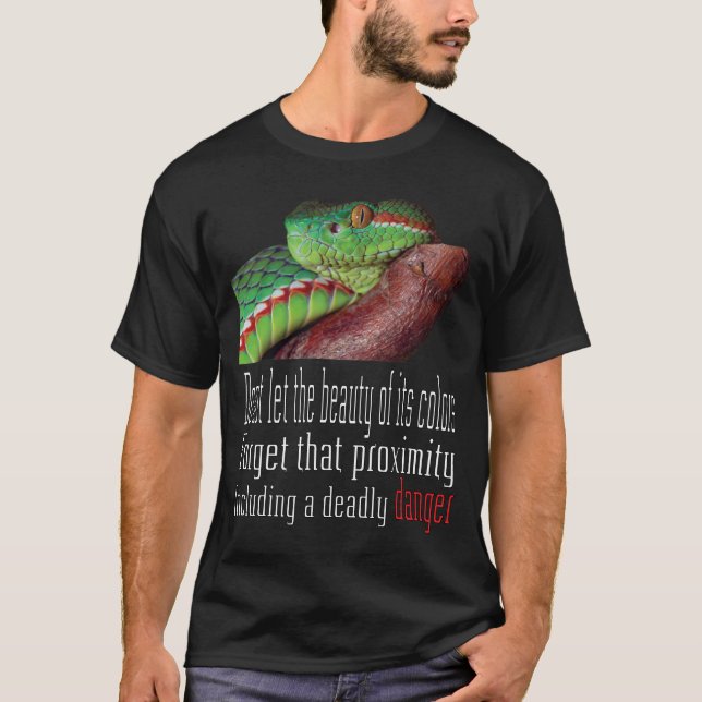 Camiseta una serpiente (Anverso)