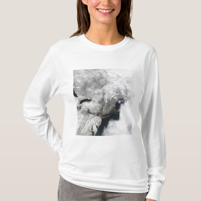 Camiseta Una severa tormenta de invierno (Anverso)
