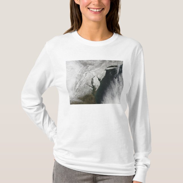 Camiseta Una severa tormenta de invierno 2 (Anverso)