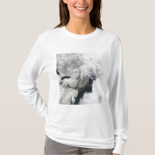 Camiseta Una tormenta severa del invierno