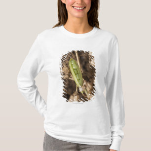 Camiseta Una vaina de guisante verde en una planta secada
