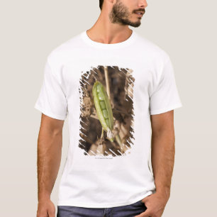 Camiseta Una vaina de guisante verde en una planta secada
