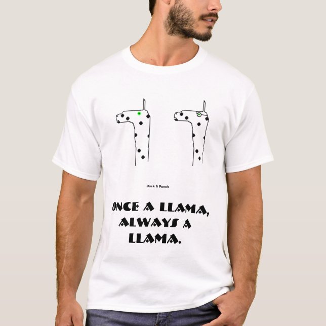 Camiseta Una vez una llama, siempre una llama (Anverso)
