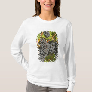 Camiseta Una vid con racimos de uvas Merlot maduras - Chate