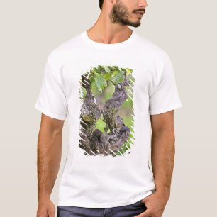 Camiseta Una vid muy vieja en el viñedo Clos de l'Echo