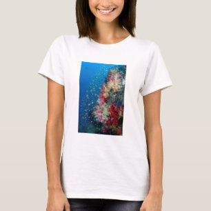 Camiseta Underwater coral reef, Indonesia