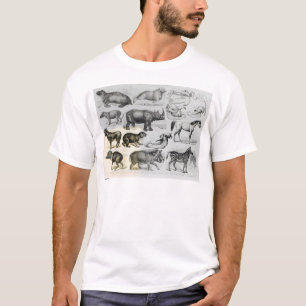 Camiseta Ungulata o animales ungulados