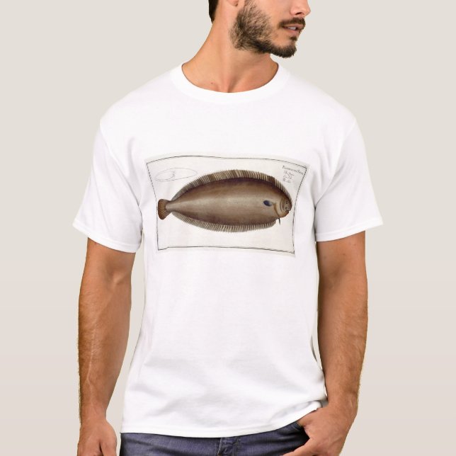 Camiseta Única (Solea Solaea) placa XLV de Dover de (Anverso)