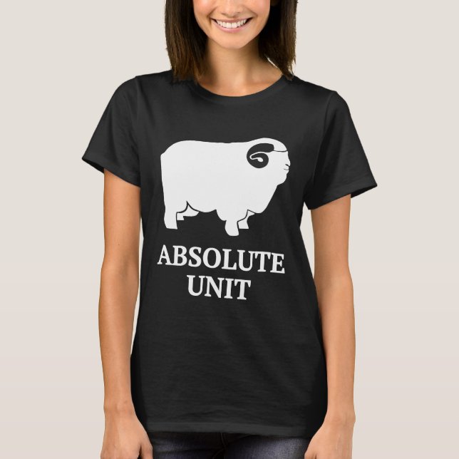 Camiseta Unidad absoluta (Anverso)