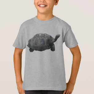 Camiseta unisex de los niños de la tortuga