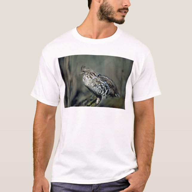 Camiseta Urogallo superado (Anverso)