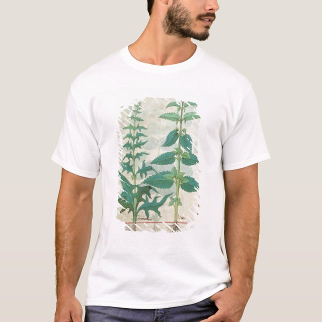 Camiseta Urticaceae (Anverso)