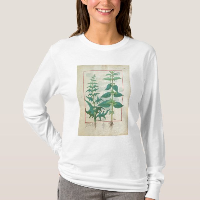 Camiseta Urticaceae (Anverso)