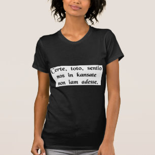 Camiseta Usted sabe, Toto, tengo una sensación que no somo