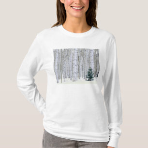Camiseta UTAH. EE. UU. Aspen (Populus tremuloides) & Dougla