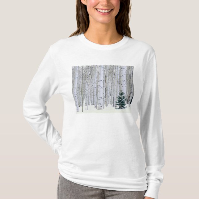 Camiseta UTAH. EE. UU. Aspen (Populus tremuloides) & Dougla (Anverso)