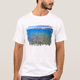 Camiseta UTAH. EE.UU. El agua clara del lago Bear revela