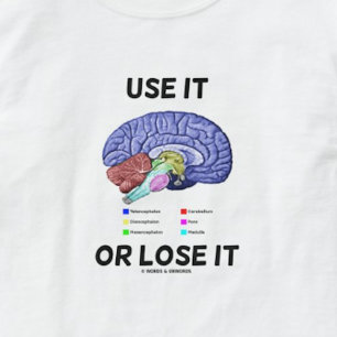Camiseta Utilícelo O Pierda (Humor De Anatomía Cerebral Que