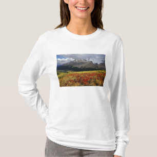 Camiseta Uva de oso a principios de otoño Athabasca Peak en