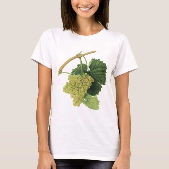 Camiseta Uvas de vino blanco en el vino, fruta de la comida (Anverso)