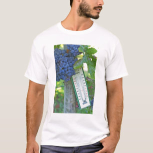 Camiseta Uvas Merlot en Chateau la Grave Figeac, una