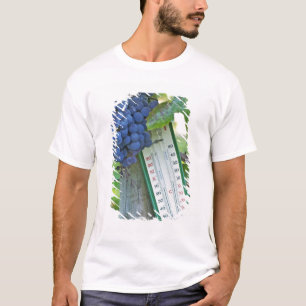 Camiseta Uvas Merlot en Chateau la Grave Figeac, una
