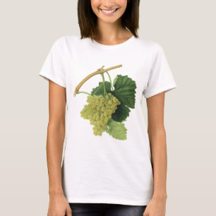 Camiseta Uvas para Vino Blanco en la Vid, Frutas Comestible