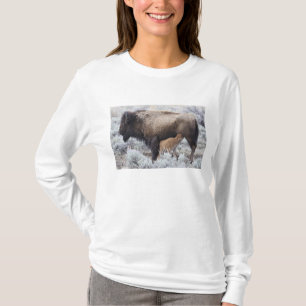 Camiseta Vaca amamantando a una cría de bisonte, Yellowston