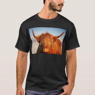 Camiseta Vaca escocesa de la montaña - Escocia
