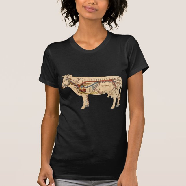 Camiseta Vaca linda anatómica (Anverso)