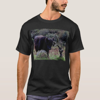 Camiseta Vaca negra de Dartmoor Galloway que rasguña en