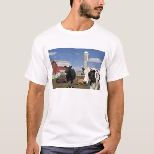 Camiseta Vacas frente a un granero rojo y silo en una granj