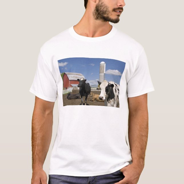 Camiseta Vacas frente a un granero rojo y silo en una granj (Anverso)