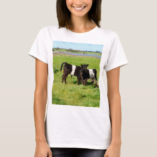 Camiseta Vacas Galloway Belladas Para Bebés En El País,