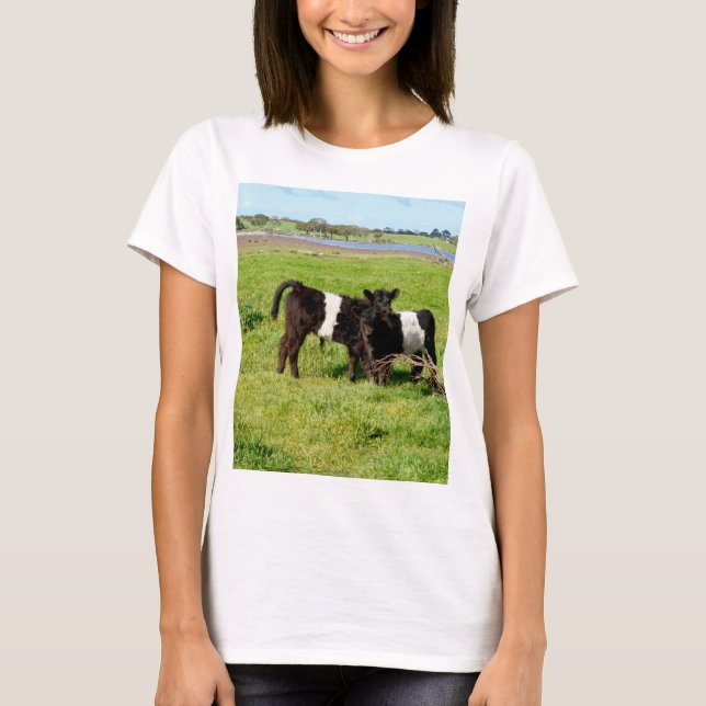 Camiseta Vacas Galloway Belladas Para Bebés En El País, (Anverso)