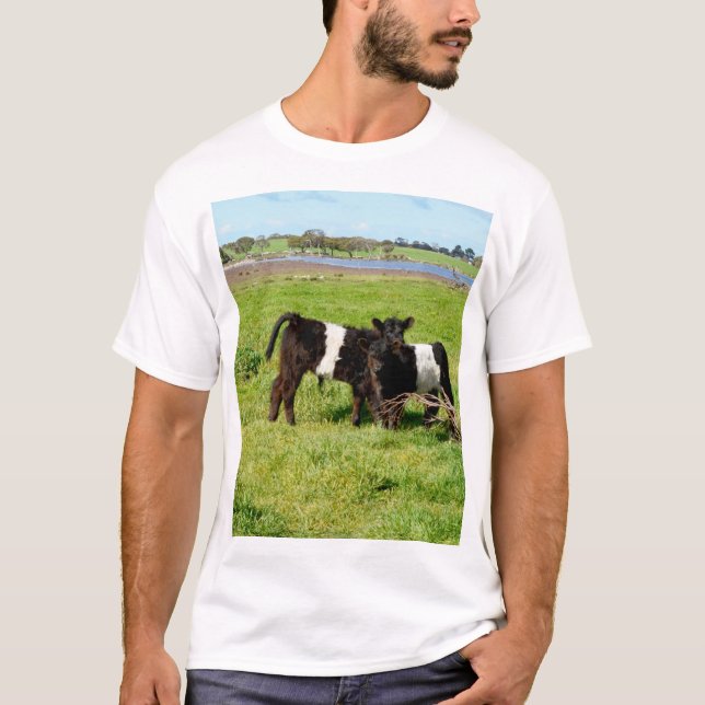 Camiseta Vacas Galloway Belladas Para Bebés En El País, (Anverso)