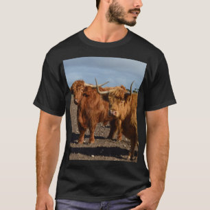 Camiseta Vacas Highland de color marrón,