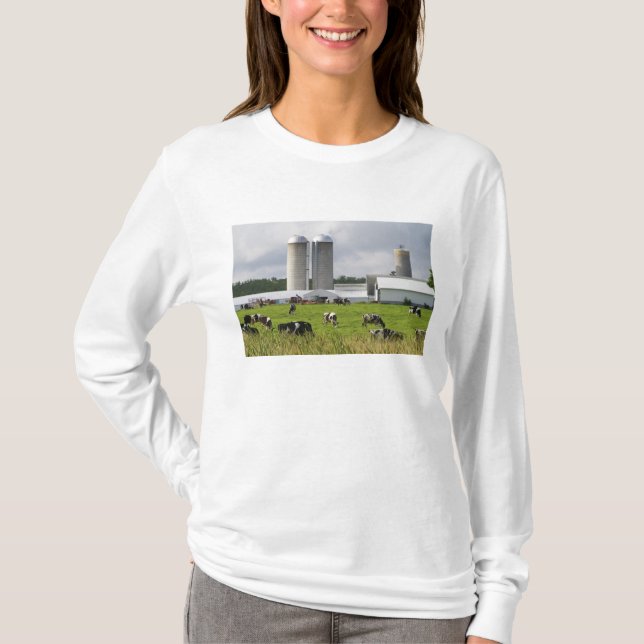 Camiseta Vacas lecheras y granja cerca del condado de (Anverso)