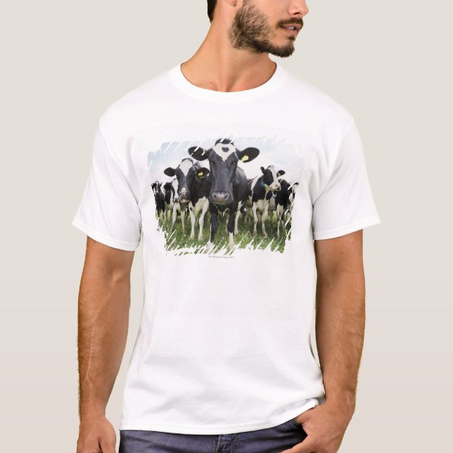 Camiseta Vacas que se colocan en una fila que mira la (Anverso)