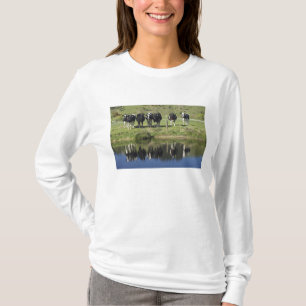 Camiseta Vacas reflejadas en el canal, Henley, la llanura d