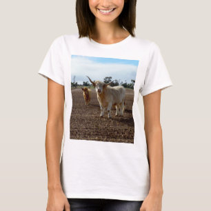 Camiseta Vacas Rigurosas De Las Tierras Altas Se Comían Tod