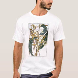 Camiseta Vainas de la vainilla, placa 65, de la 'colección