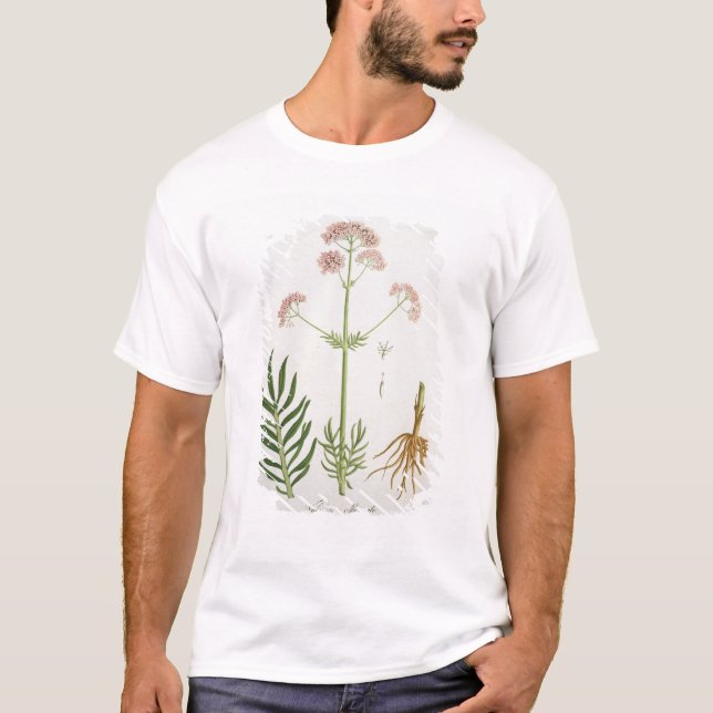 Camiseta Valeriana de "Phytographie Medicale" por el Ro de (Anverso)