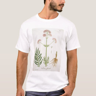 Camiseta Valeriana de "Phytographie Medicale" por el Ro de