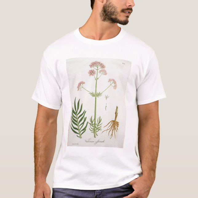 Camiseta Valeriana de "Phytographie Medicale" por el Ro de (Anverso)