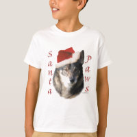 Vallhund Santa Paws de Suecia