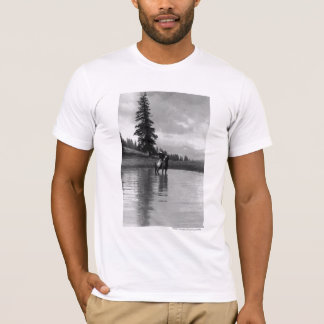 Camiseta Vaquero en una charca