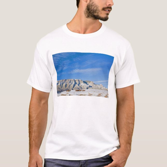 Camiseta Vaqueros con manada de caballos (Anverso)