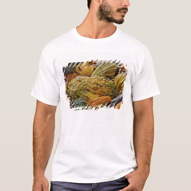 Camiseta Variedad de calabaza (Anverso)