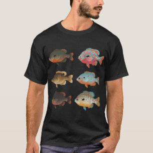 Camiseta Varios Sunfish (Lepomis sp.) Paquete